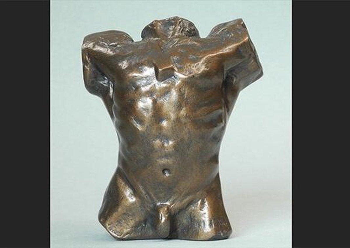Rodin , Torso