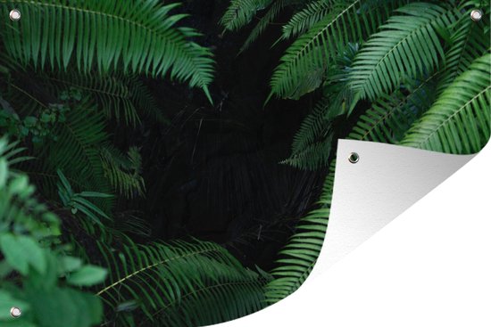 Tuindecoratie Close-up van tropische bladeren - 60x40 cm - Tuinposter - Tuindoek - Buitenposter
