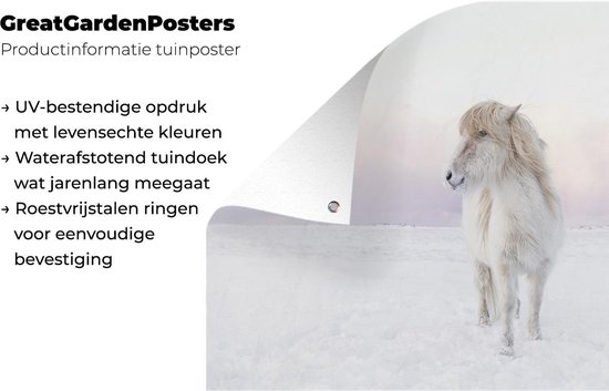 Tuinposter 120x80 cm - Tuindecoratie Wit IJslander paard in de sneeuw - Poster voor in de tuin - Buiten decoratie - Schutting tuinschilderij - Tuindoek muurdecoratie - Wanddecoratie balkondoek