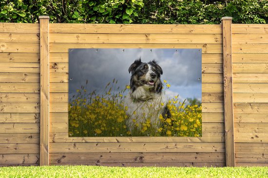 Border Collie parmi les belles fleurs jaunes Affiche de jardin 180x120 cm - Toile de jardin / Toile d'extérieur / Peintures d'extérieur (décoration de jardin) XXL / Grand format!