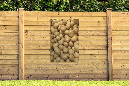 Pommes de terre pelées en tas dans les basses terres du Chili Poster jardin 80x120 cm - Toile de jardin / Toile d'extérieur / Peintures pour l'extérieur (décoration de jardin)