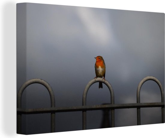 Robin sur une clôture contre un ciel gris foncé 30x20 cm - petit - Tirage photo sur toile (Décoration murale salon / chambre)