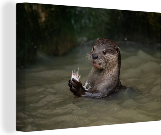 Loutre avec de la nourriture dans l'eau toile 2cm 30x20 cm - petit - Tirage photo sur toile (Décoration murale salon / chambre) / Animaux sauvages Peintures sur toile