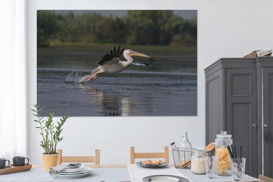 Pelican en Roumanie 180x120 cm - Tirage photo sur Toile (Décoration murale salon / chambre) / Animaux sauvages Peintures sur toile XXL / Groot format!