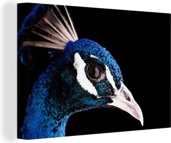 Tableau sur toile Paon - Animal - Blauw - 180x120 cm - Décoration murale XXL