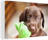 Canvas Schilderij Labrador puppy eet blad - 30x20 cm - Wanddecoratie