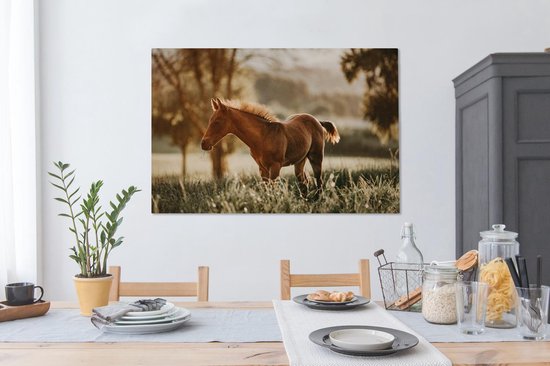 Poulain quarter horse dans les pâturages 120x80 cm - impression photo sur toile peinture (Décoration murale salon / chambre à coucher) / Mammifères toile Peintures