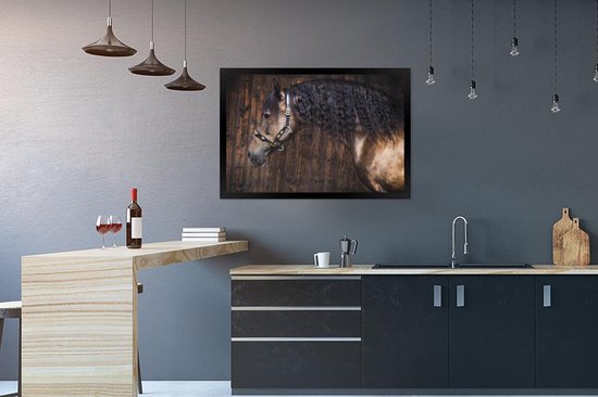 Cheval andalou devant un cadre photo fond en bois noir sans passe partout