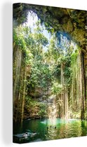 Canvas Schilderij Binnenaanzicht op Ik-Kil Cenote bij Chichén Itzá in Mexico - 20x30 cm - Wanddecoratie