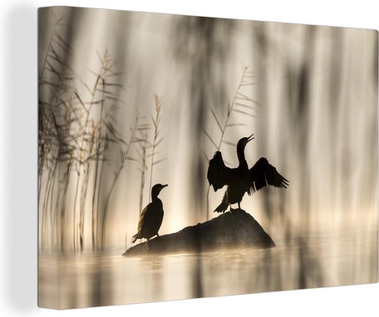 Cormorans dans un environnement brumeux sur toile 2cm 120x80 cm - Tirage photo sur toile (Décoration murale salon / chambre)