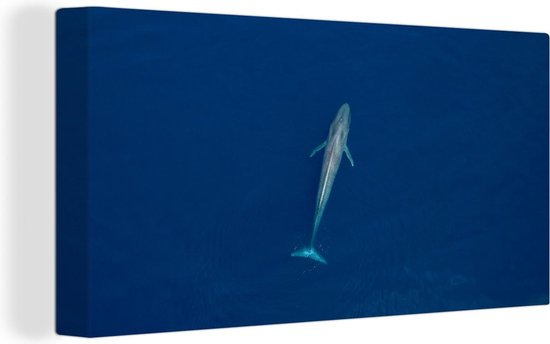 Canvas Schilderij Walvis - Oceaan - Blauwe vinvis - 40x20 cm - Wanddecoratie