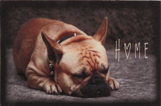 Ikado Deurmat foto franse bulldog 40 x 60 cm