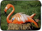 Laptophoes 13 inch - Flamingo die haar kuiken onder haar vleugel beschermd - Laptop sleeve - Binnenmaat 32x22,5 cm - Zwarte achterkant