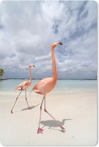 Muismat Flamingo  - Twee flamingo's op een eiland in Aruba muismat rubber - 40x60 cm - Muismat met foto
