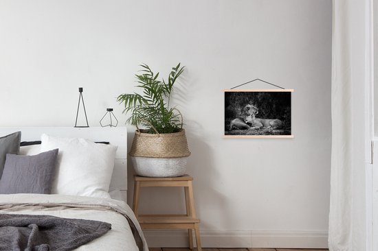 Affiche textielposter Lion et lionne lattes vierge 60x40 cm