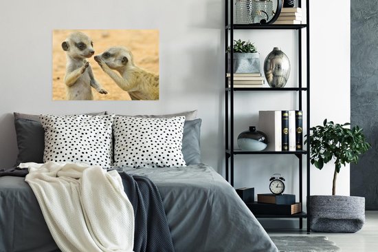 Papier d'affiche de deux suricates