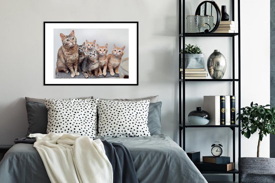 Photo encadrée - Cadre photo chatons curieux noir avec passe partout blanc 60x90 90x60 cm - Affiche encadrée (Décoration murale salon / chambre)