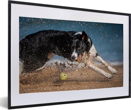Fotolijst incl. Poster - Een zwart-witte border collie achtervolgt een tennisbal op het strand - 60x40 cm - Posterlijst