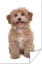 Poster Hond - Huisdieren - Vacht - 20x30 cm