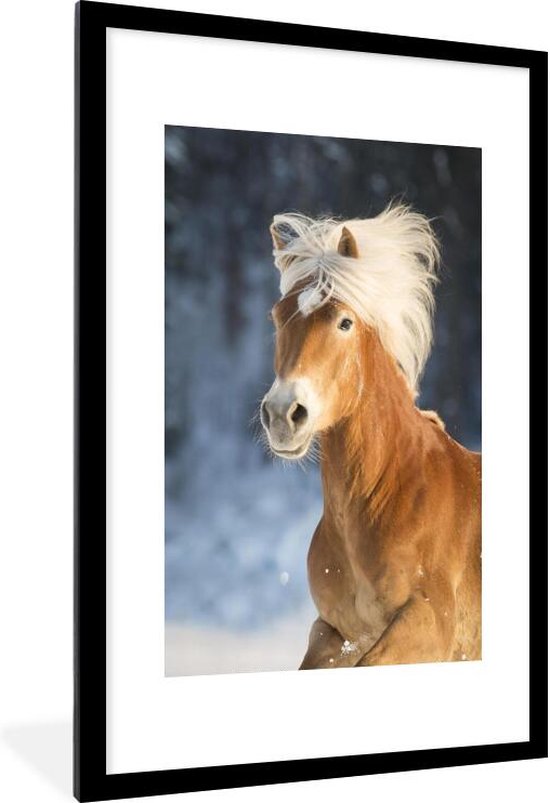 Photo dans cadre - Haflinger cheval en hiver cadre photo noir avec  passe-partout blanc... | bol