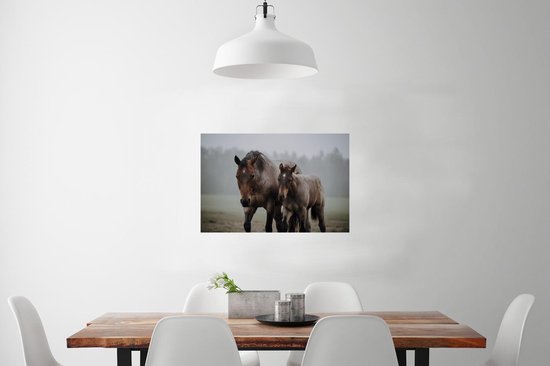 Quarter horse et poulain marchent vers la caméra 90x60 cm