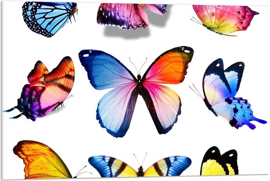Acrylglas - Kleurrijke Vlinders op Wit Blad - 90x60cm Foto op Acrylglas (Wanddecoratie op Acrylglas)