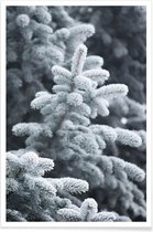 JUNIQE - Poster Winter Forest -13x18 /Grijs & Wit