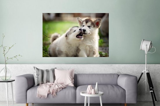 Poster Chiots jouant ensemble papier 180x120 cm - Tirage photo sur Poster (décoration murale salon / chambre) / Poster Animaux domestiques XXL / Groot format!
