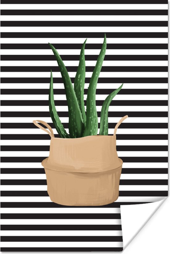Illustratie van een Aloë vera plant op een zwart-wit gestreepte achtergrond 20x30 cm - klein - Foto print op Poster (wanddecoratie woonkamer / slaapkamer)