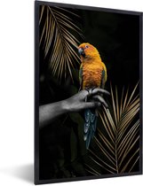 Oiseau multicolore sur une main et fond noir 20x30 cm - petit