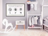 Poster - How to Recognize an Animal-45x30