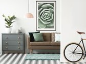 Artgeist - Schilderij - Robust Plant - Multicolor - 30 X 45 Cm
