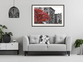 Poster - Autumn Colours II-30x20