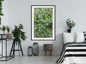 Poster - Forest from a Bird's Eye View-20x30