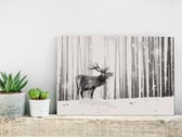 Doe-het-zelf op canvas schilderen - Deer in the Snow-60x40