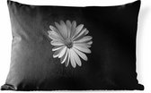 Buitenkussens - Tuin - Een wit madeliefje op een zwarte achtergrond - 60x40 cm