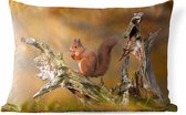 Buitenkussens - Tuin - Rode eekhoorn op een oude boomstam in het bos - 50x30 cm