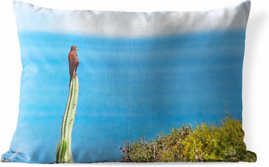 Sierkussen Valk voor buiten - Valk op een cactus bij het strand - 60x40 cm - rechthoekig weerbestendig tuinkussen / tuinmeubelkussen van polyester Sierkussen Valk voor buiten - Valk op een cactus bij het strand - 60x40 cm - rechthoekig weerbestendig tuinkussen / tuinmeubelkussen van polyester