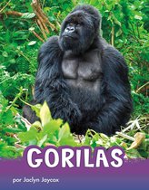 Animals en espanol - Gorilas