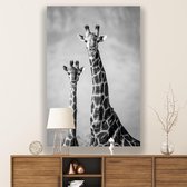 Plexiglas Schilderij Giraffenpaar