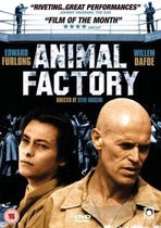 Animal Factory (Import)