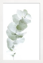 JUNIQE - Poster in houten lijst Eucalyptus White 1 -30x45 /Groen & Wit