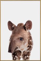 JUNIQE - Poster met kunststof lijst Tapir -30x45 /Bruin