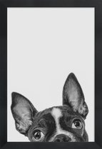 JUNIQE - Poster in houten lijst French Bulldog II -60x90 /Grijs &