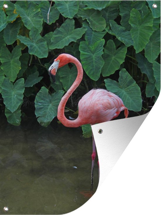 Muurdecoratie buiten Een flamingo staat in het ondiepe water - 120x160 cm - Tuindoek - Buitenposter