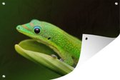 Tuindecoratie Groene gekko op een blad - 60x40 cm - Tuinposter - Tuindoek - Buitenposter