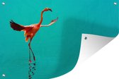 Décoration murale Flamingo dans la mer bleue - 180x120 cm - Affiche de jardin - Toile de jardin - Affiche d'extérieur