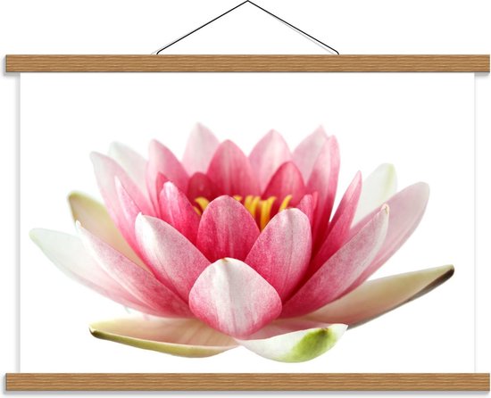Schoolplaat – Roze met Witte Lotus Bloem - 60x40cm Foto op Textielposter (Wanddecoratie op Schoolplaat)