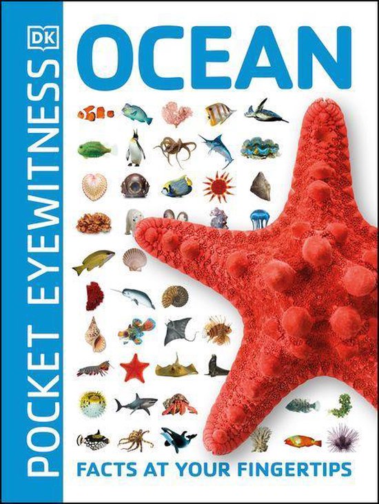 Pocket Eyewitness - Ocean - cover