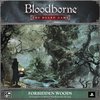 Afbeelding van het spelletje Bloodborne: The Board Game Forbidden Woods Expansion